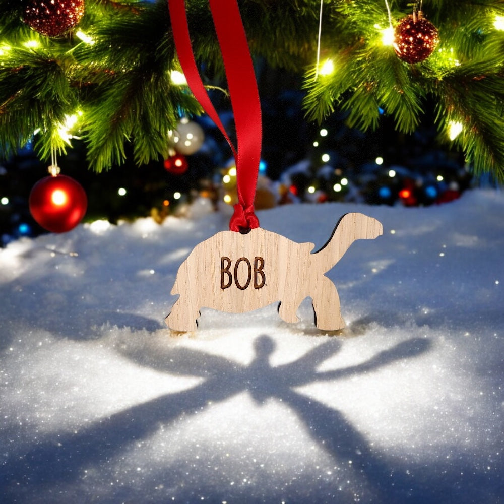 Personalised Tortoise Christmas Tree Decoration