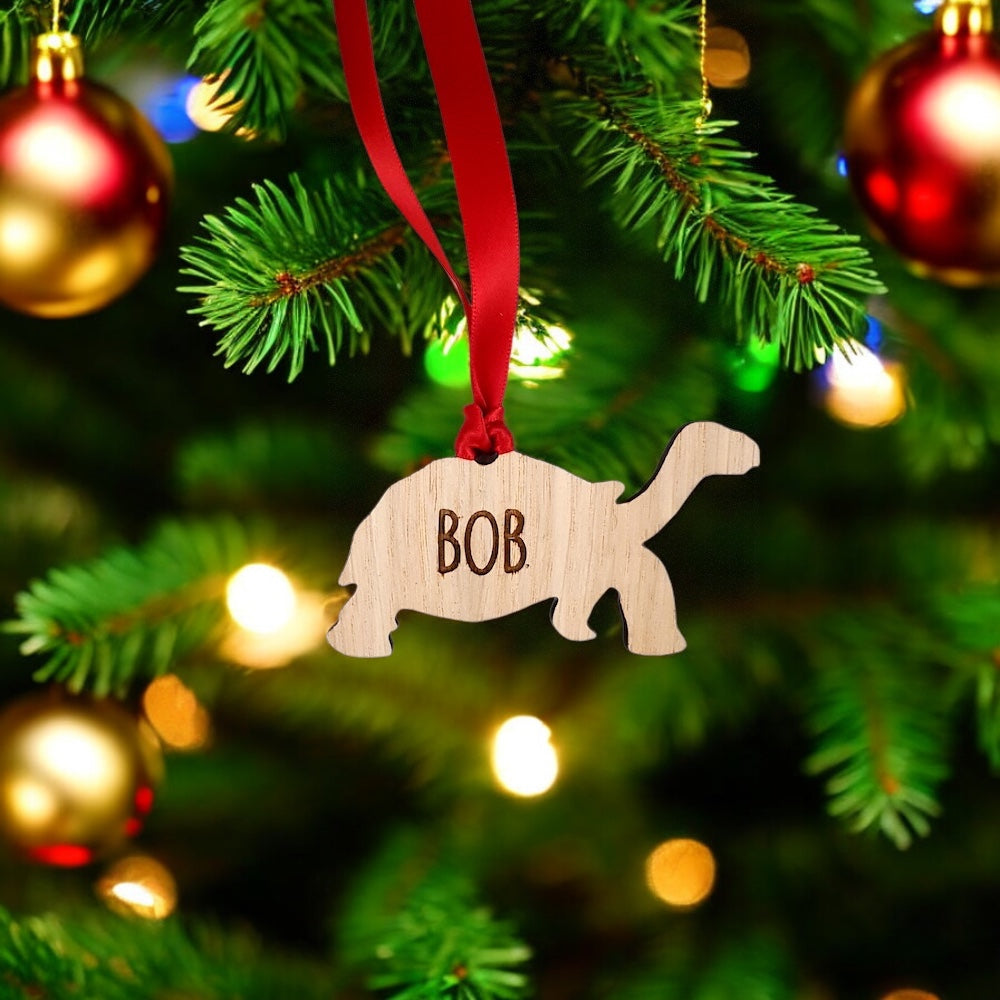 Personalised Tortoise Christmas Tree Decoration