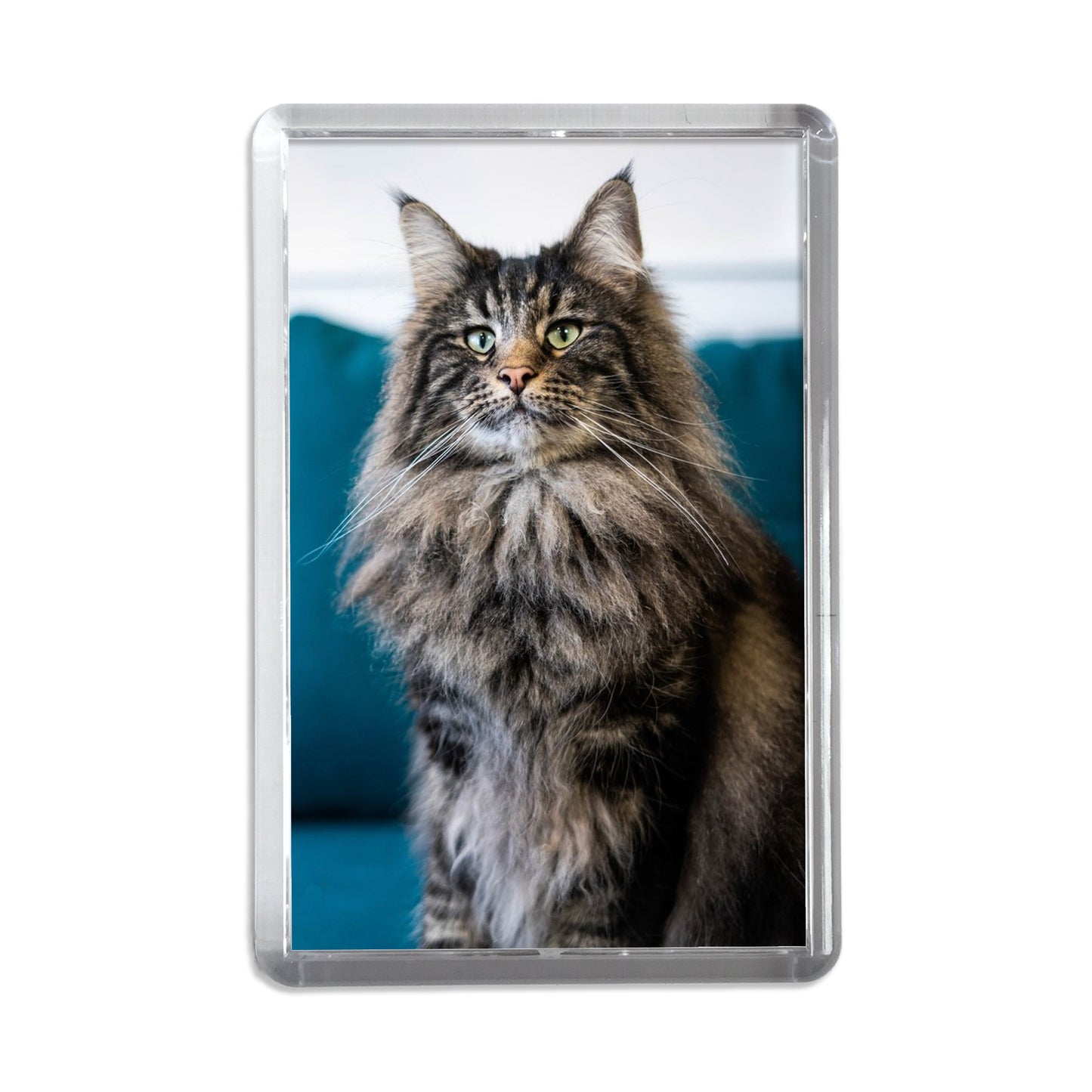 Personalised Full Photo Paper Magnet