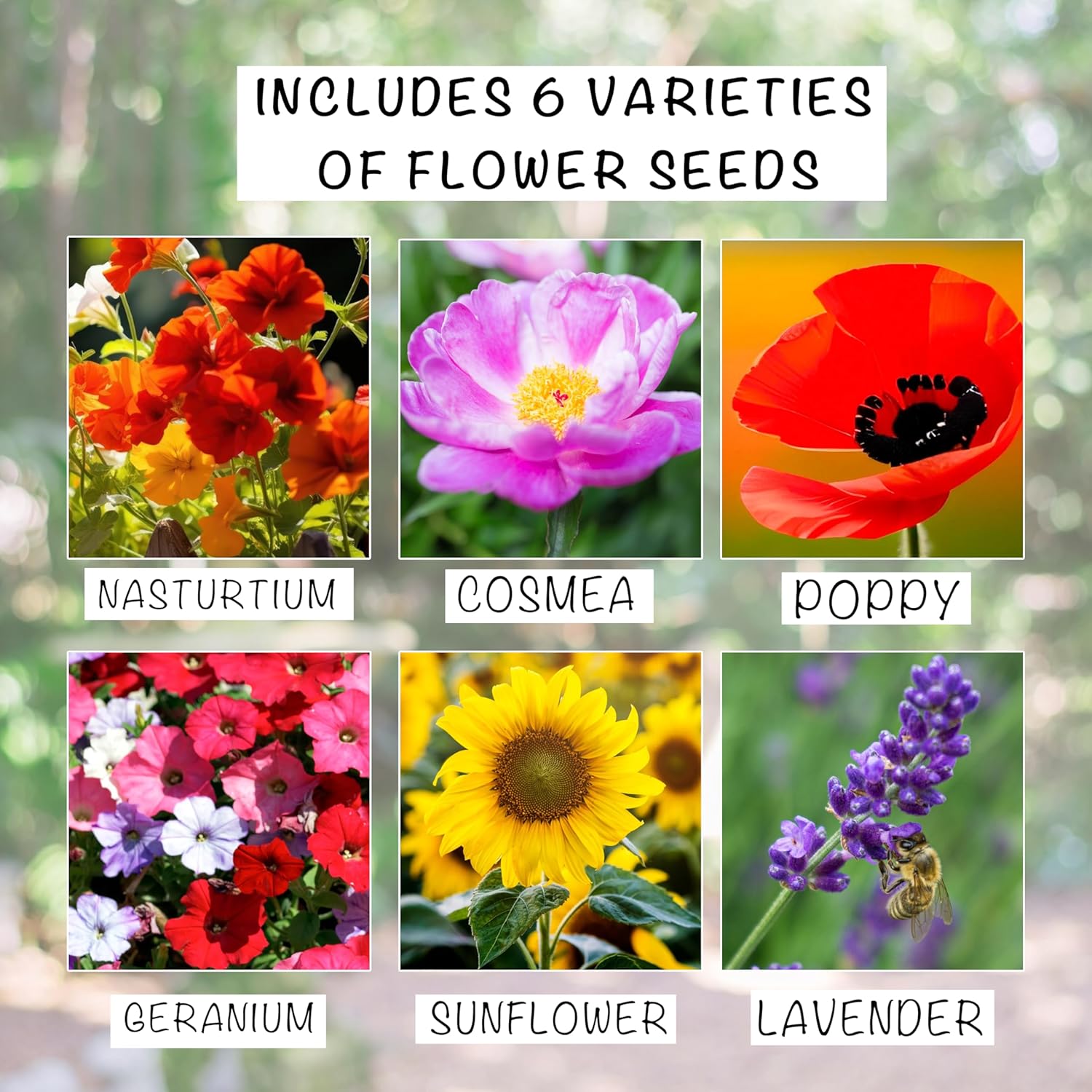 Granny Gift Flower Seed Bag - If Grannies were Flowers You'd be The one I'd Pick - Gardening Gift