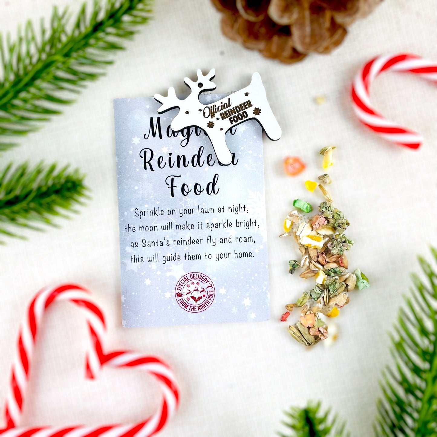 Official Reindeer Food - Bag, Food & Charm - Father Christmas Eve Box Stocking Filler Kids Tradition - Wildlife Friendly Bird Seed