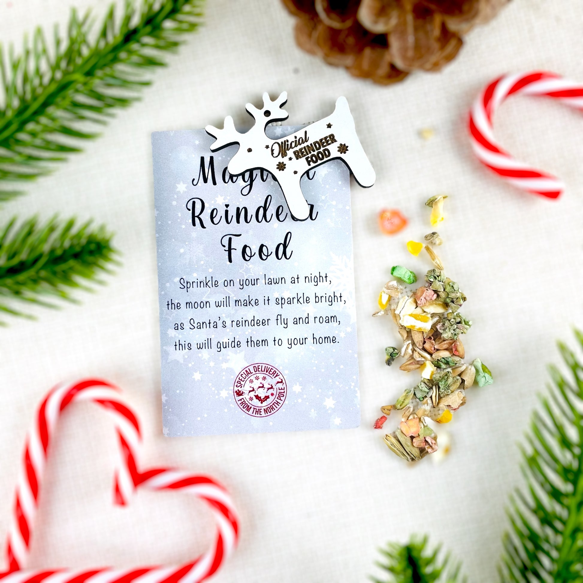 Official Reindeer Food - Bag, Food & Charm - Father Christmas Eve Box Stocking Filler Kids Tradition - Wildlife Friendly Bird Seed