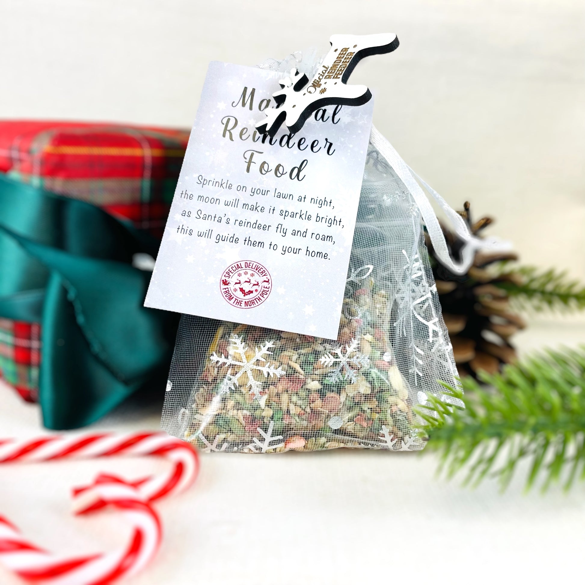 Official Reindeer Food - Bag, Food & Charm - Father Christmas Eve Box Stocking Filler Kids Tradition - Wildlife Friendly Bird Seed